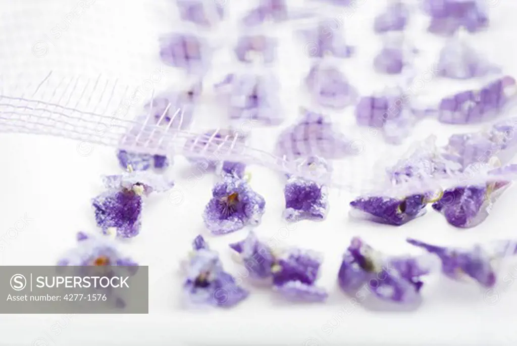 Drying crystallized violets on wax paper