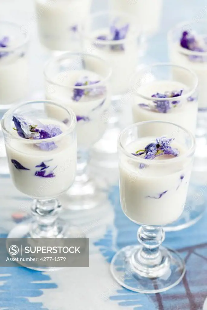 Violet pannacotta