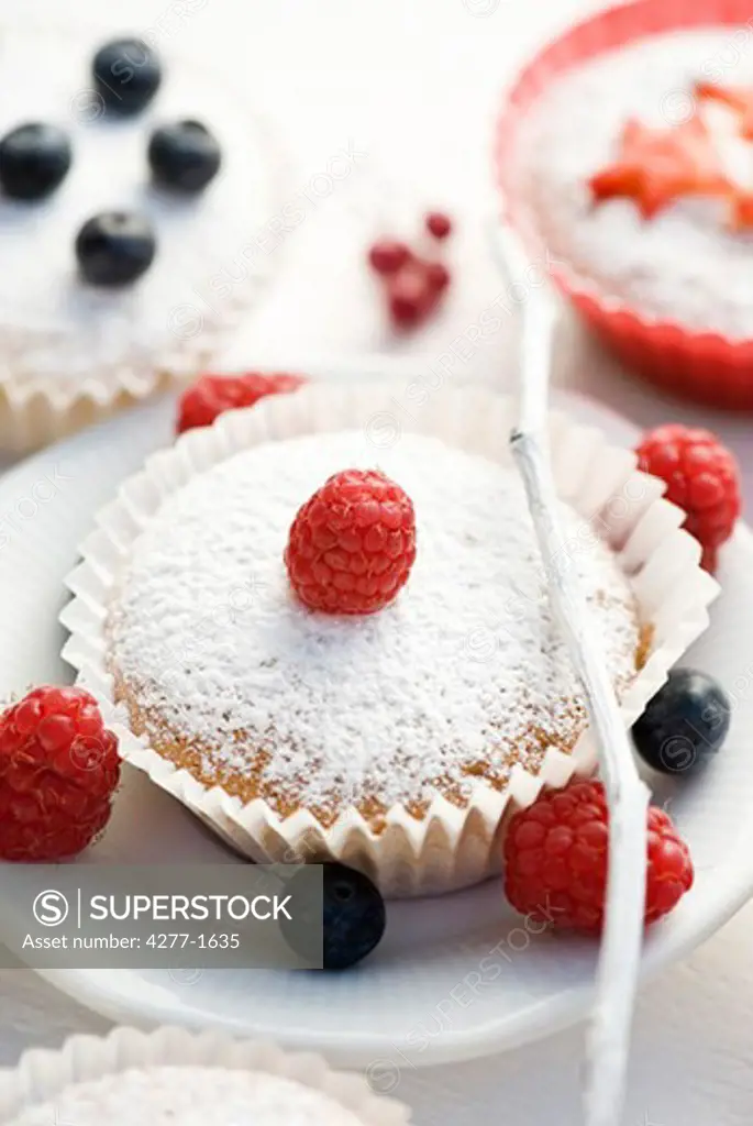 Bizcochos topped with powdered sugar and fresh berries