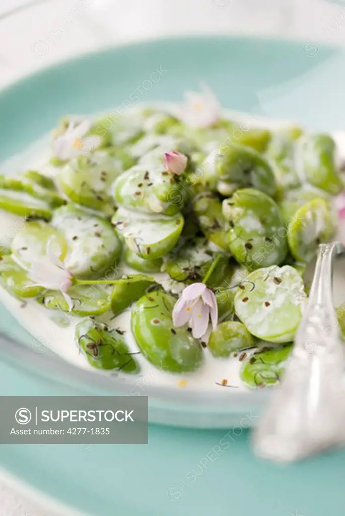 Broad beans with poppy seeds