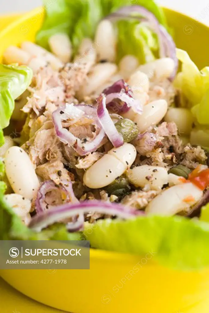 Salad with white beans and tuna