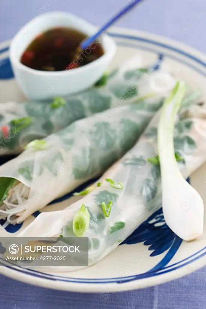Spring rolls with herbs