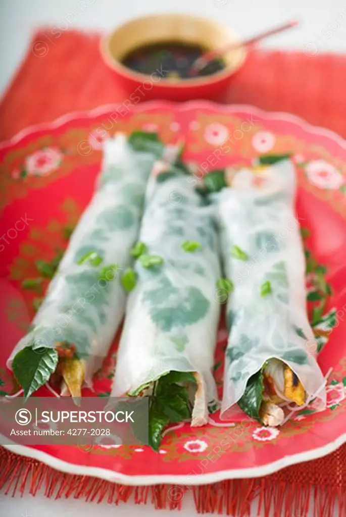 Spring rolls with herbs