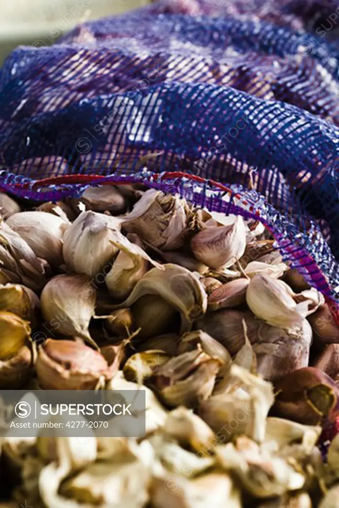 Large bag of fresh garlic