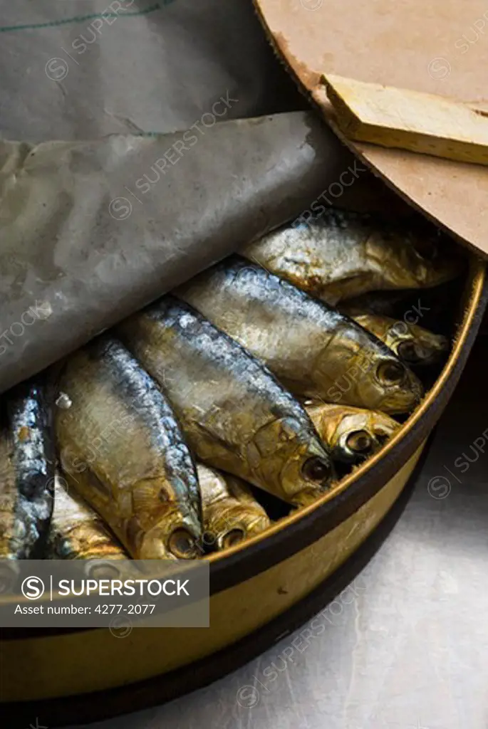 Fresh raw sardines in barrel