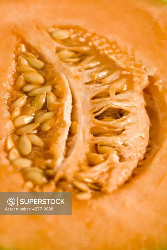 Cantaloupe seeds, close-up