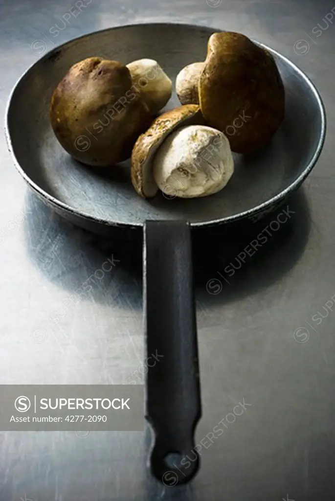 Porcini mushrooms in pan