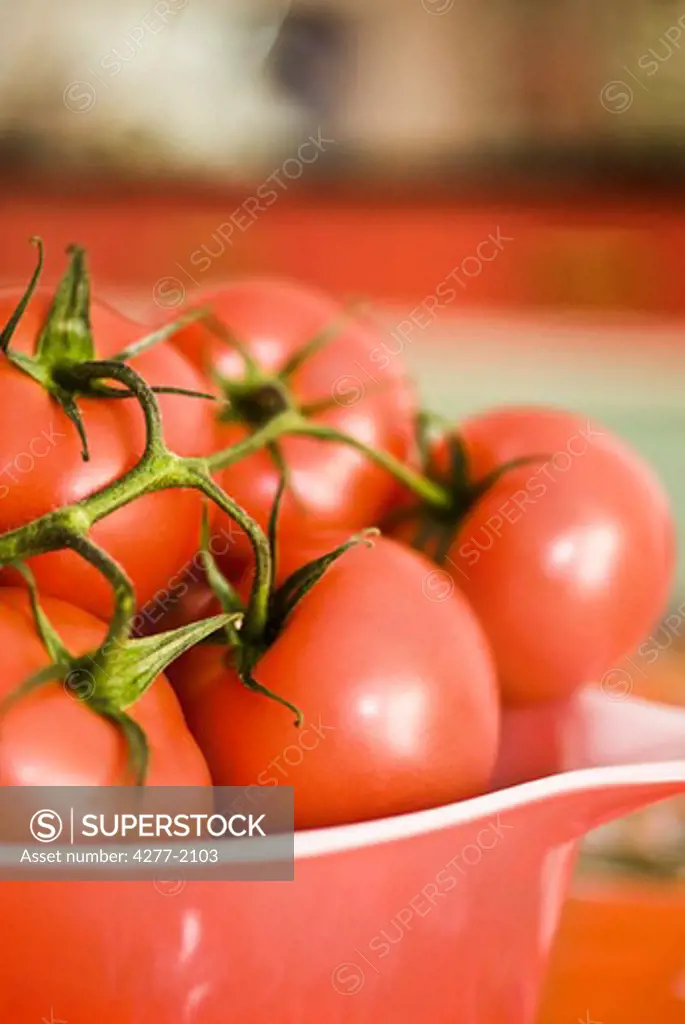 Ripe vine tomatoes in bowl