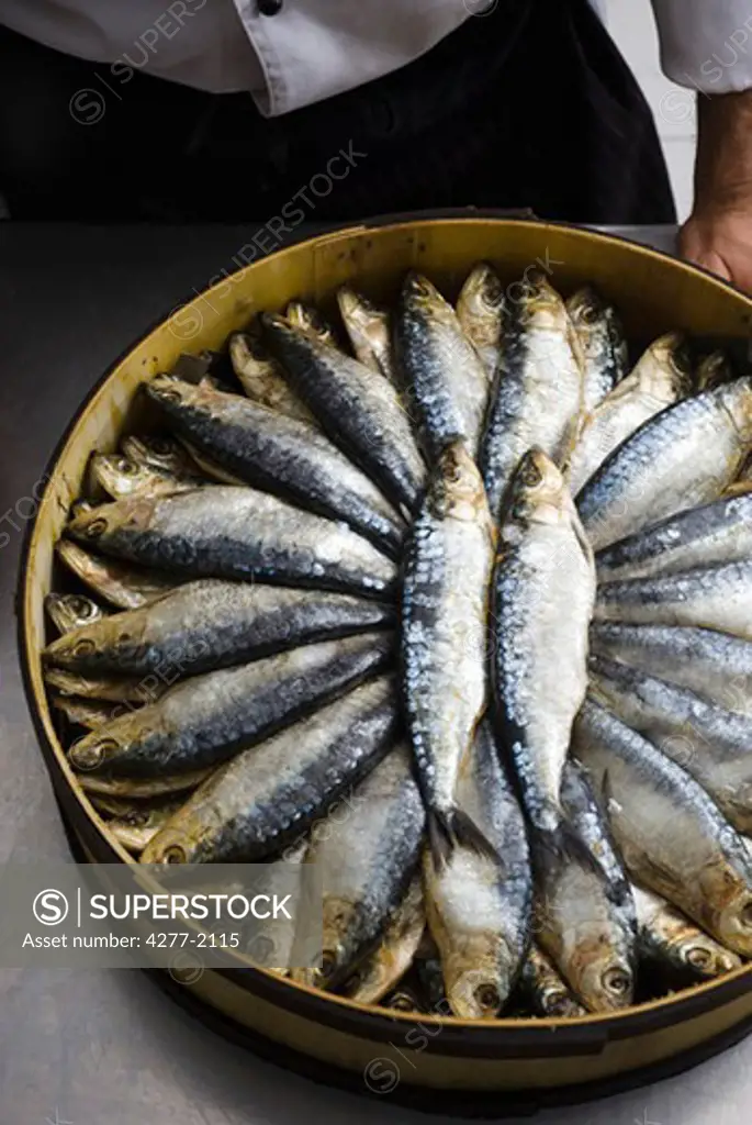 Fresh raw sardines in barrel