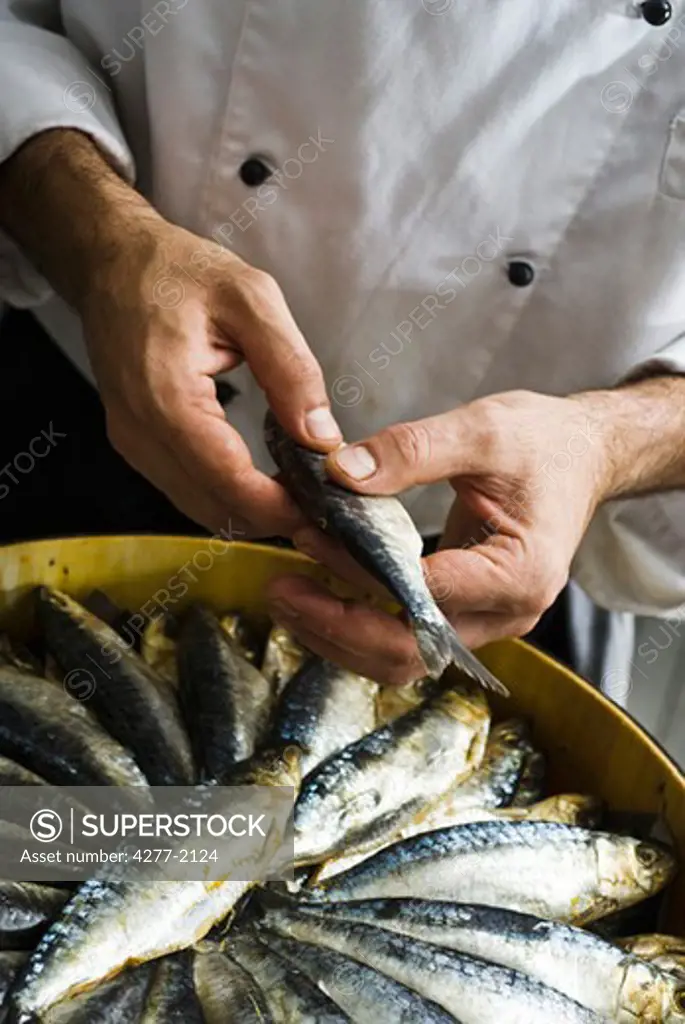 Placing fresh raw sardines in barrel