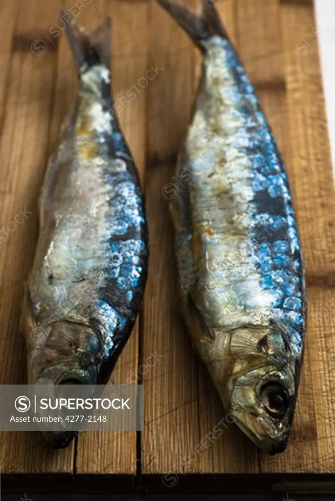 Fresh raw sardines on cutting board