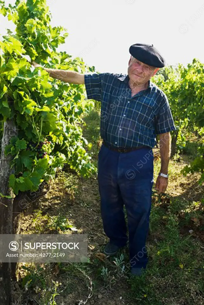 Farmer standing beside grapevines