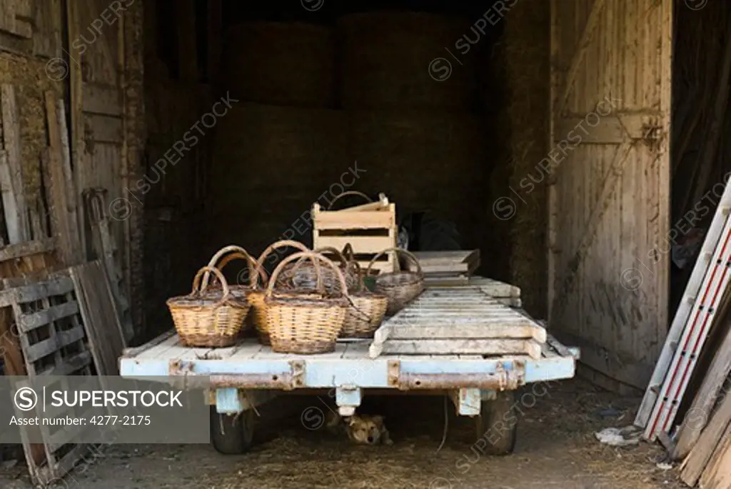 Baskets and ladders on trailer parked outside barn, dog lying under trailer