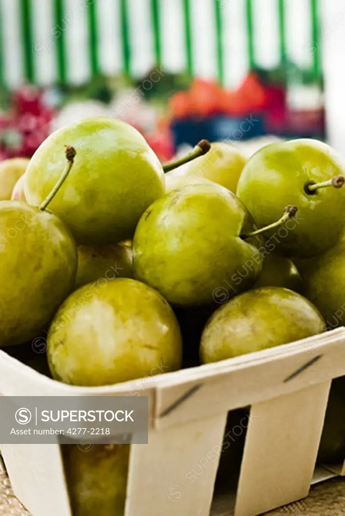 Greengage plums in basket