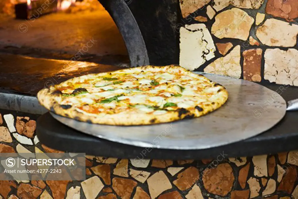 Brick oven pizza
