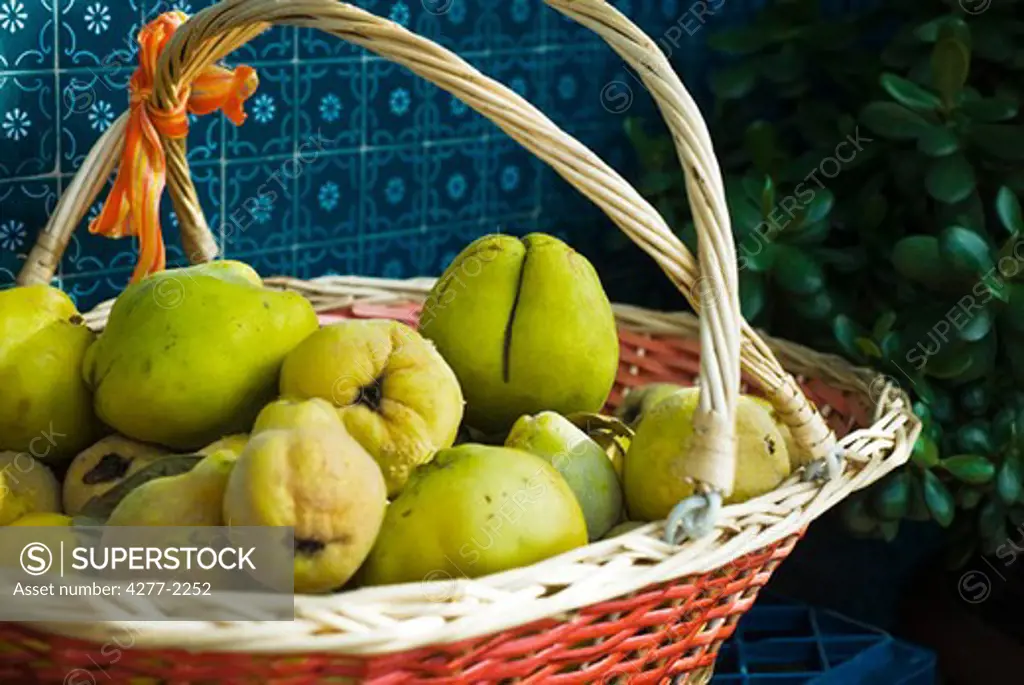 Fresh quinces in basket