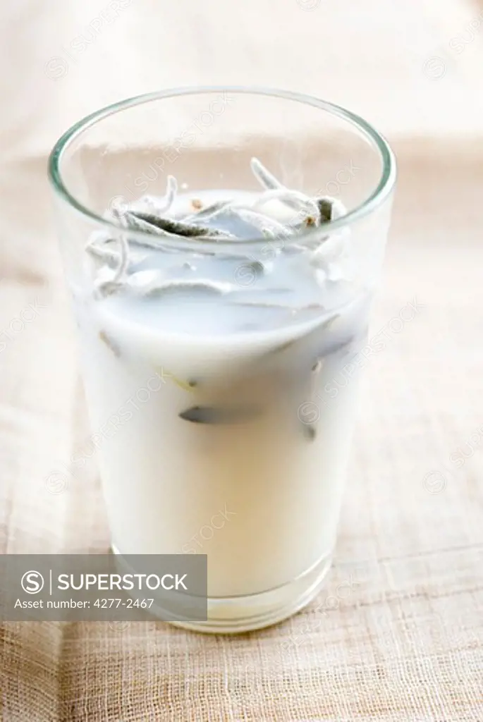 Sage leaves soaking in glass of milk