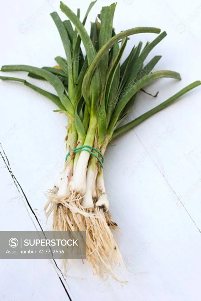 Fresh bunch of leeks