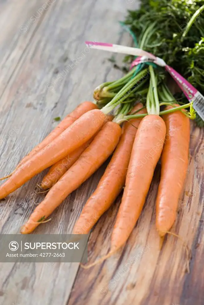 Fresh bunch of carrots