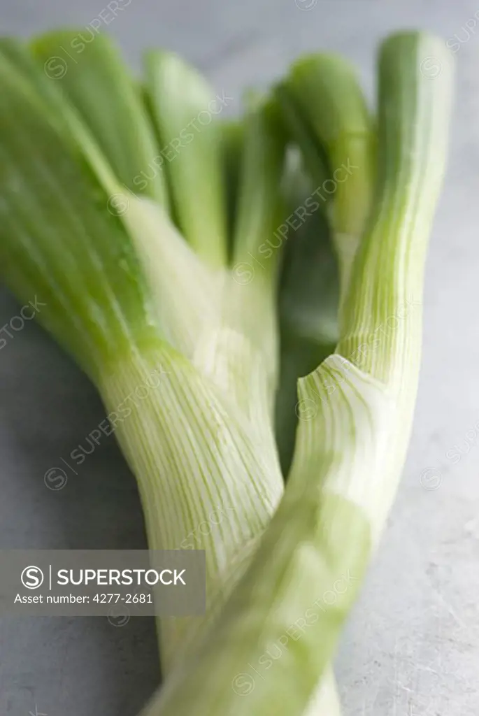 Spring onion stalk, close-up