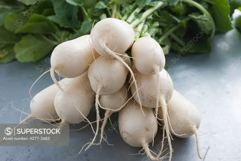 Fresh turnips