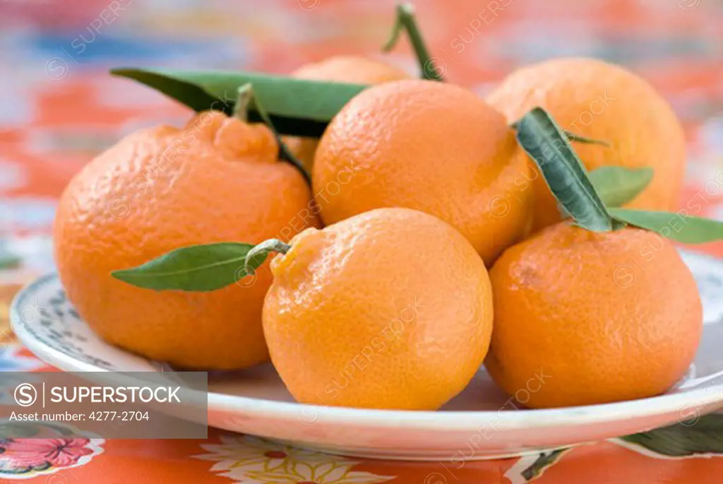 Fresh oranges on plate, close-up