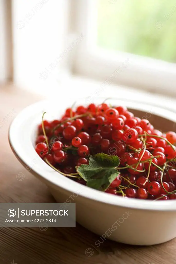 Red currants in bowl