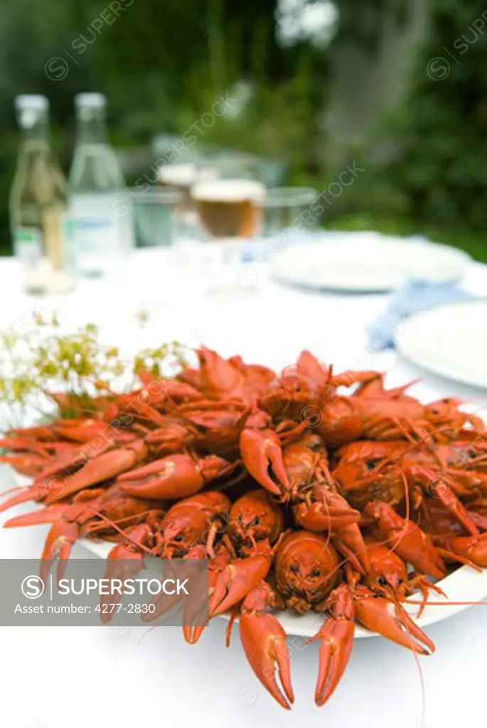 Boiled crawfish on outdoor dinner table