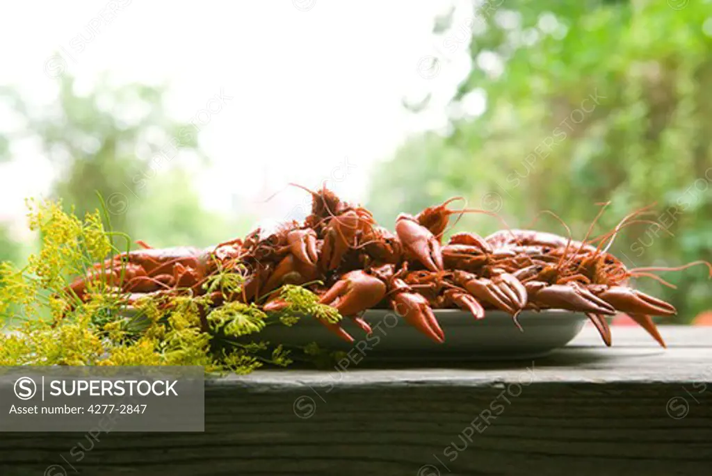 Boiled crawfish on outdoor table