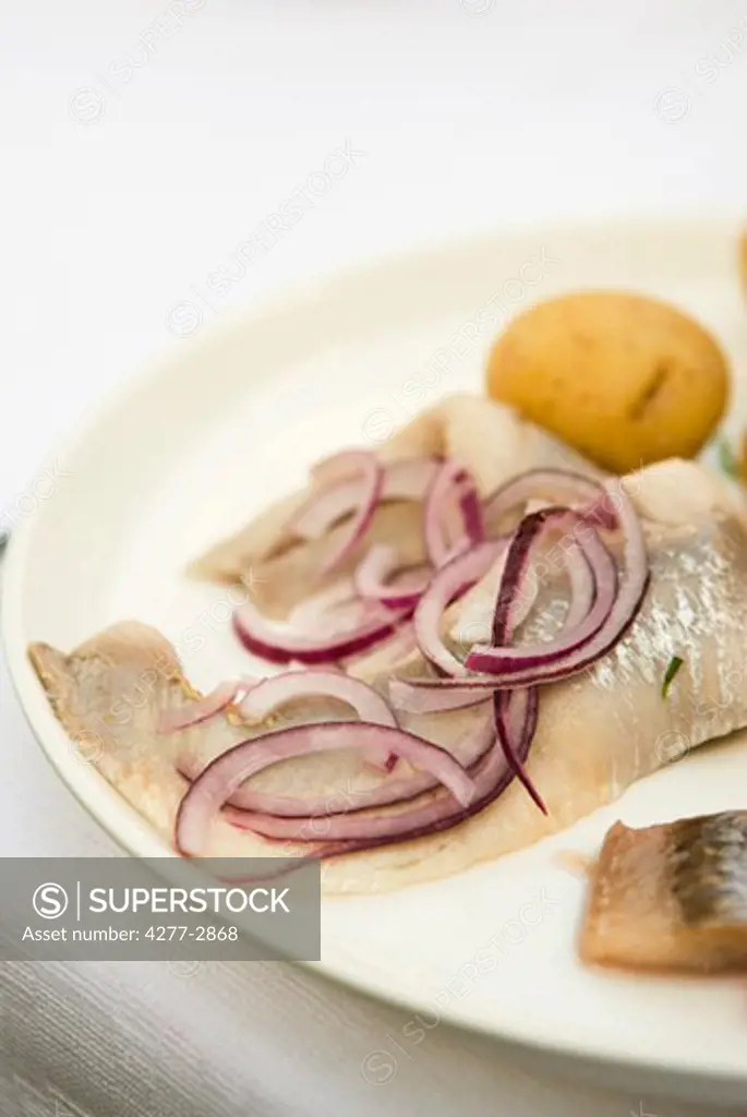 Pickled herring with red onion