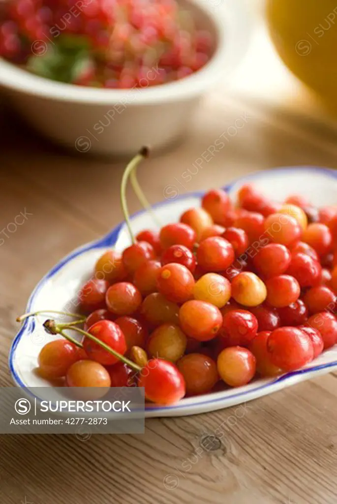 Fresh cherries