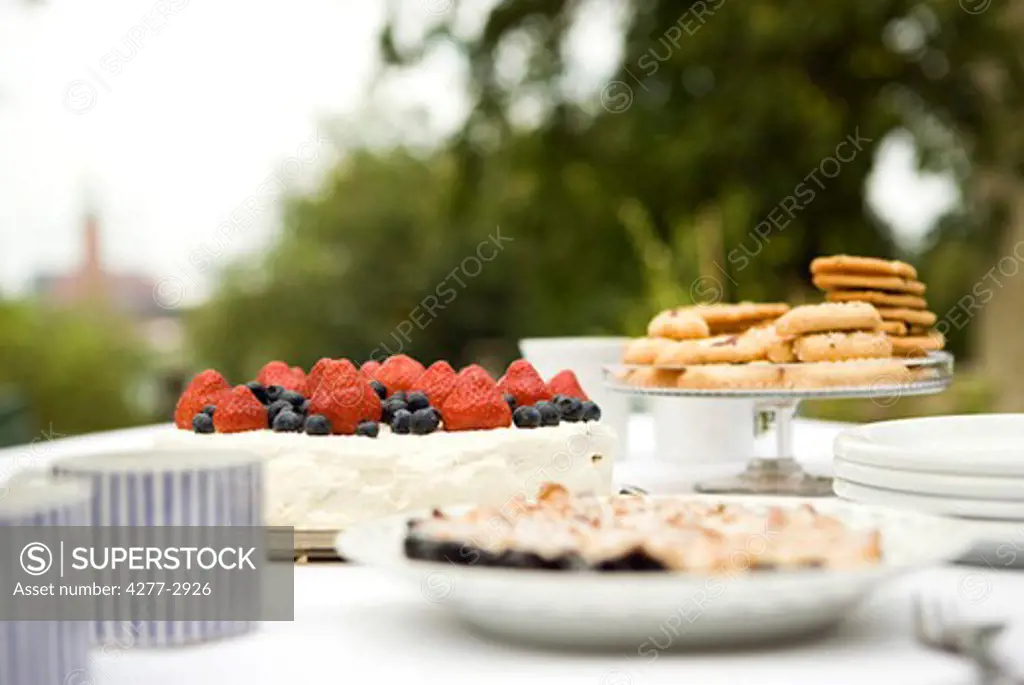 Assorted desserts on outdoor table
