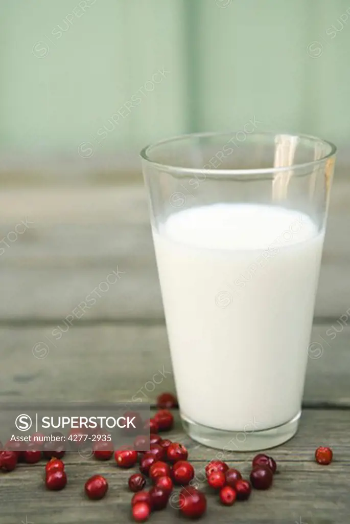 Lingonberries with glass of milk