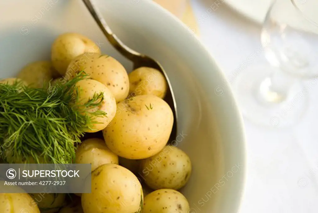 New potatoes with dill
