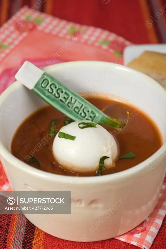 Tomato soup with green peppercorns and buffalo mozzarella