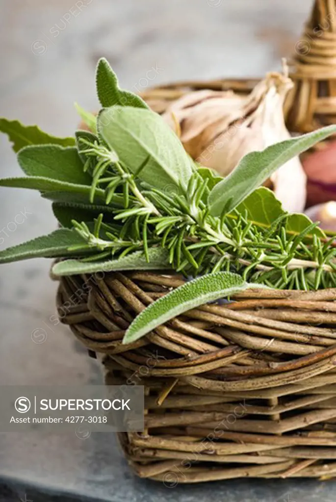 Fresh herbs in basket