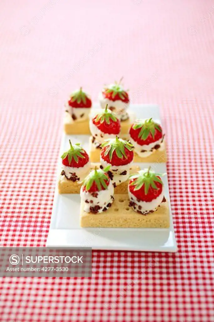 Chocolate dipped strawberries on shortbread