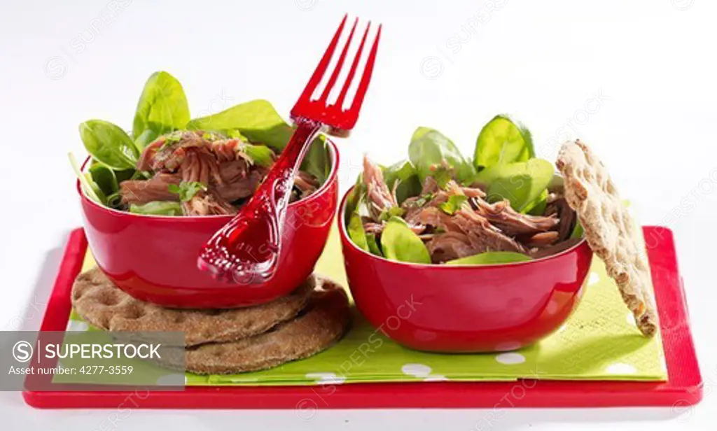 Duck confit salad