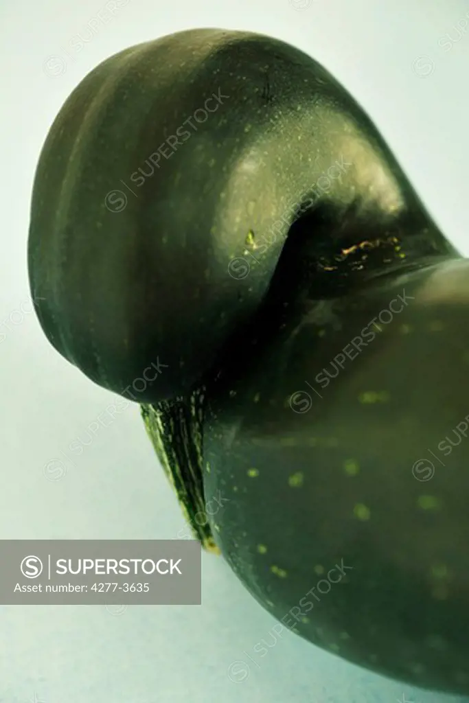 Zucchini closeup, concept image