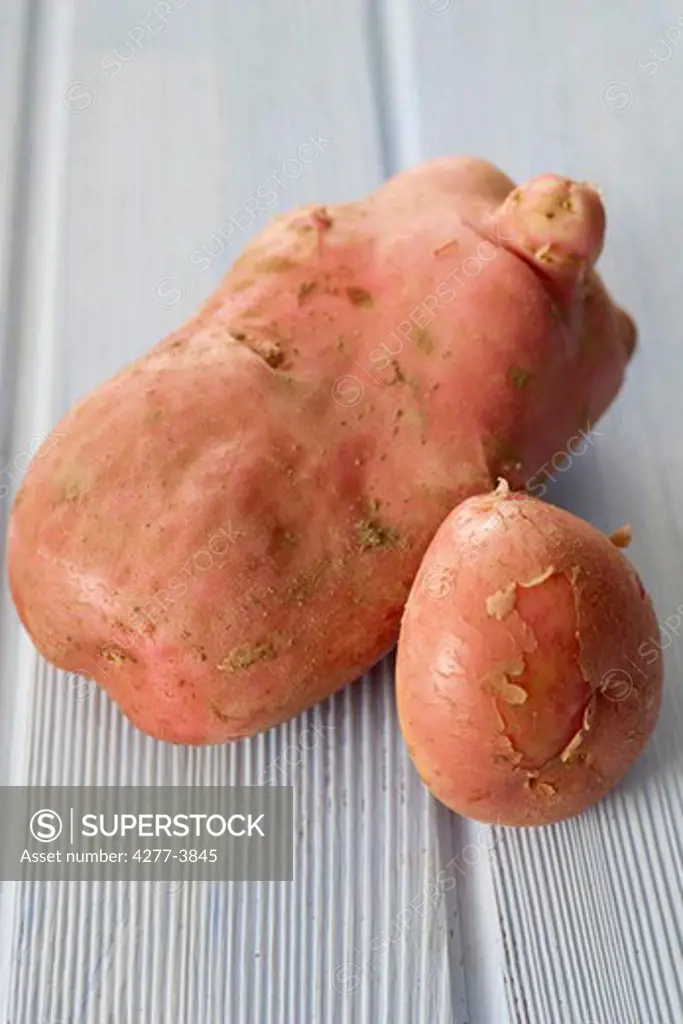 Potatoes rose roseval