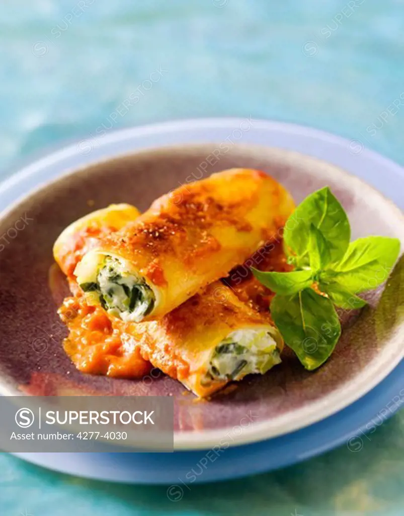 Cannelloni with leeks and ricotta