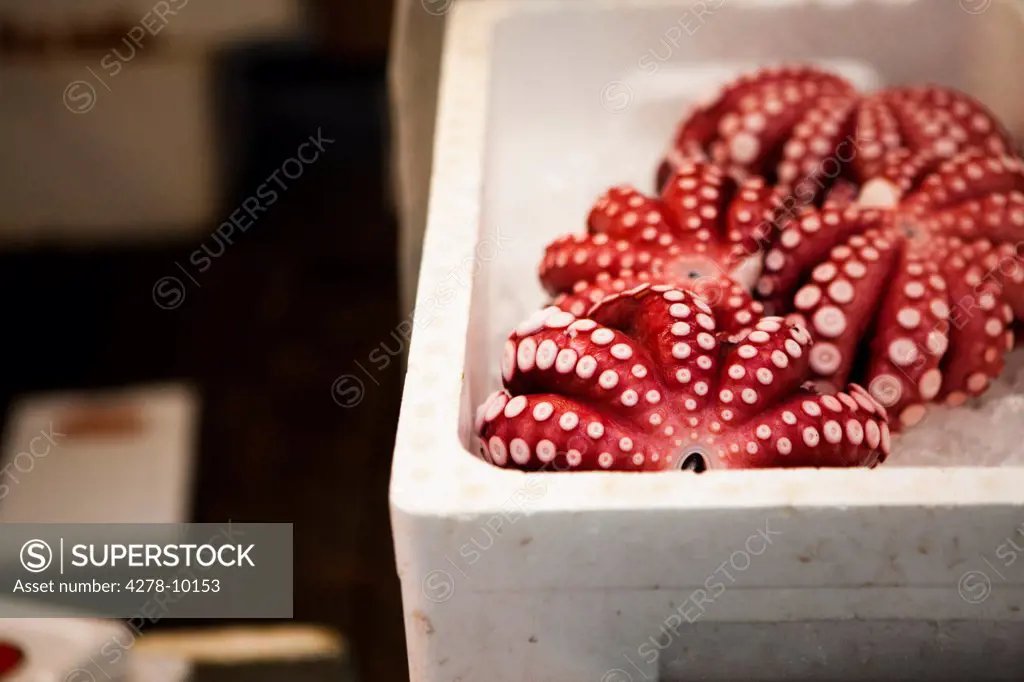 Red Octopuses in a Crate