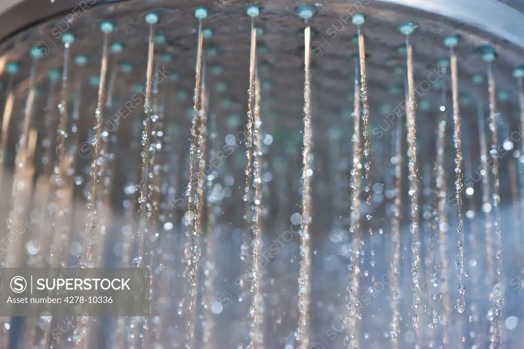 Water Running from Showerhead, Close-up view