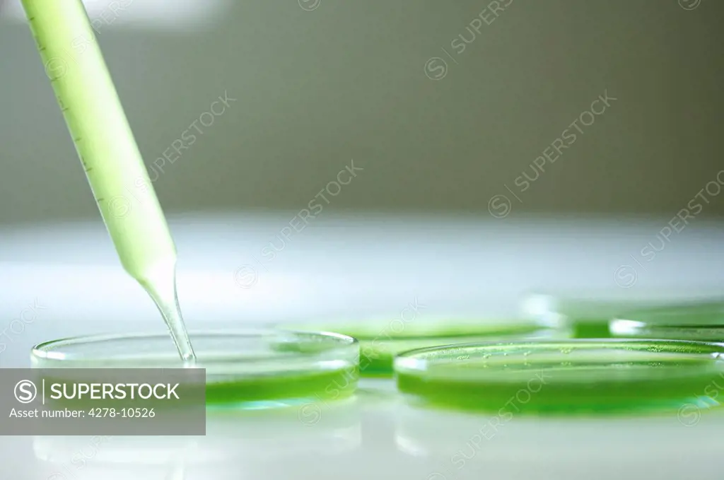 Pipette and Petri Dishes with Green Solution