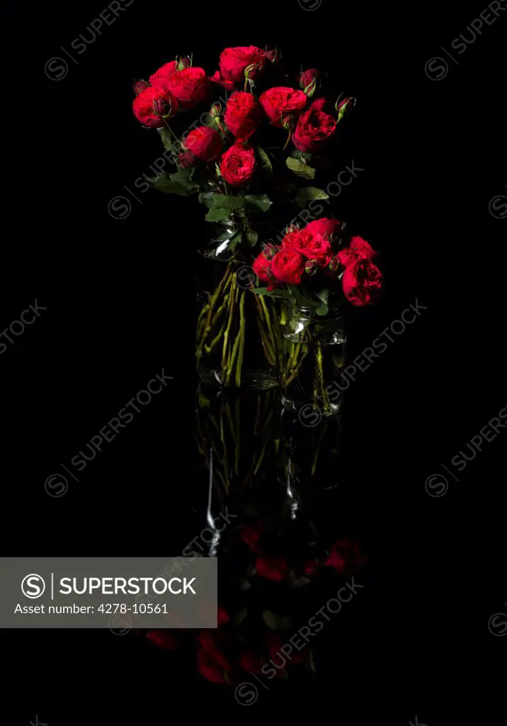 Red Roses in Glass Vases