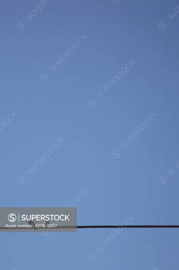 Two birds on a wire against cloudless blue sky