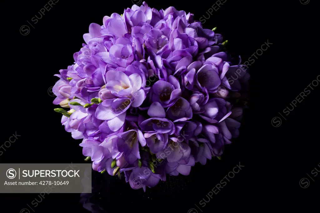 Close up of Purple Freesias Bouquet