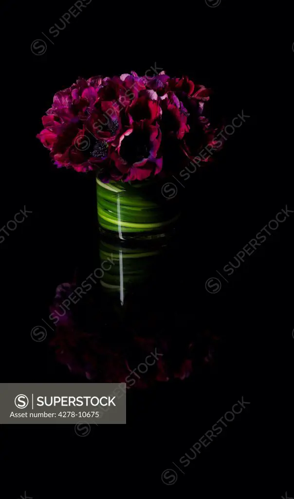 Bouquet of Purple Poppies Flowers in Vase