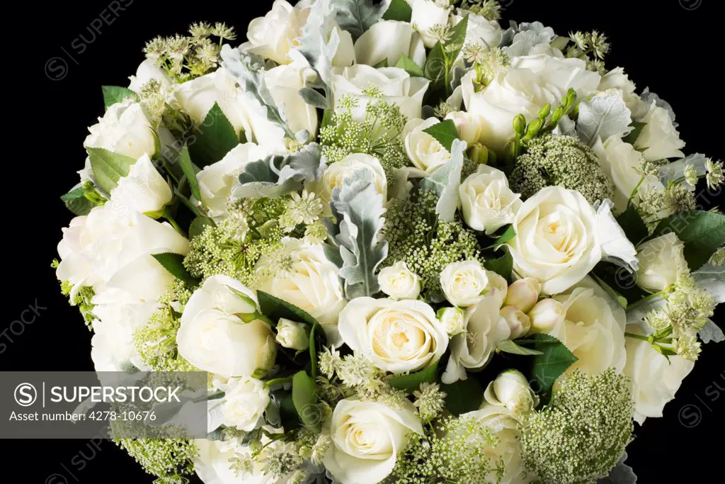 Close up of White Roses and Wild Chervil Flowers