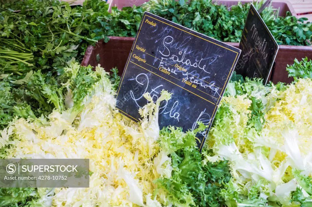 Escarole Salad on Sale in France